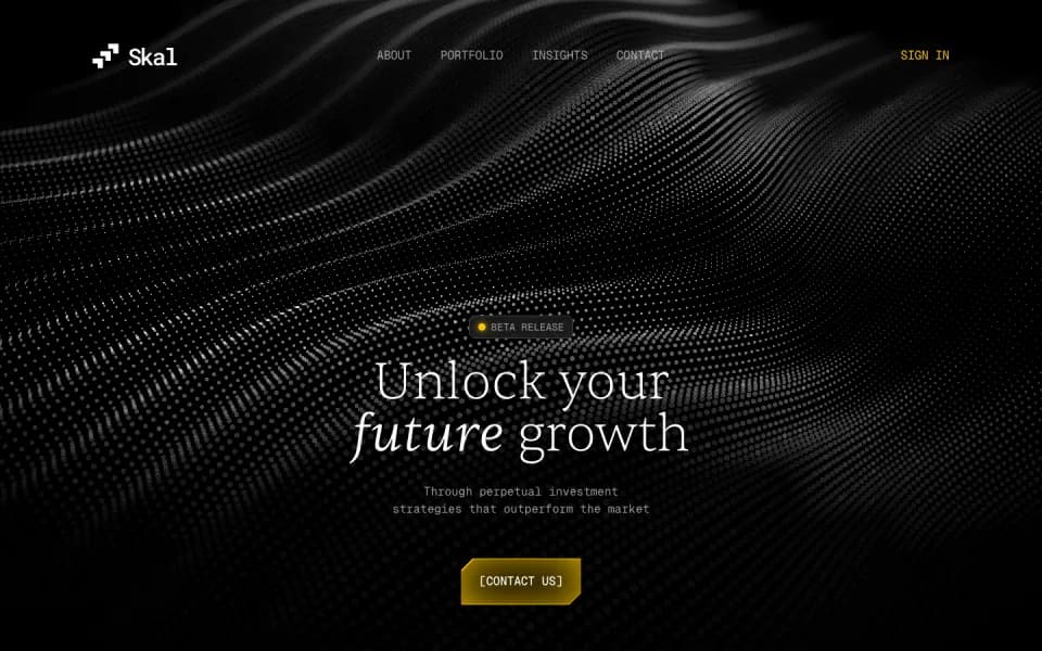 Screenshot of the Skal Ventures Template template: black particle wave, gold accents.