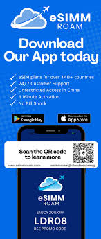 eSIMM Roam